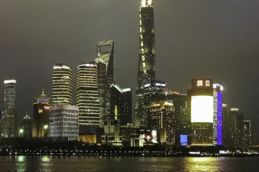 爱上海龙凤(上海龙凤之爱)
